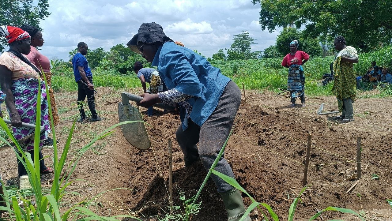 Terres africaines — agroécologie et souveraineté alimentaire