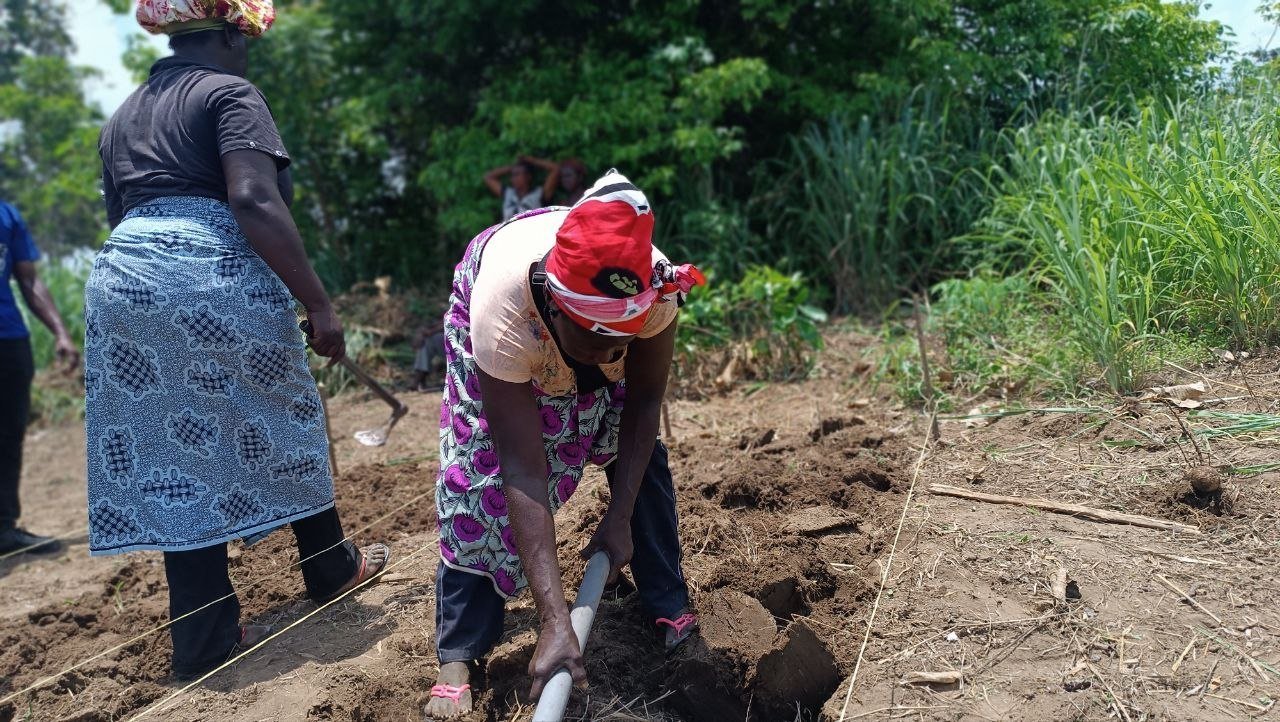 Jeunes paysans africains — agroécologie et souveraineté alimentaire